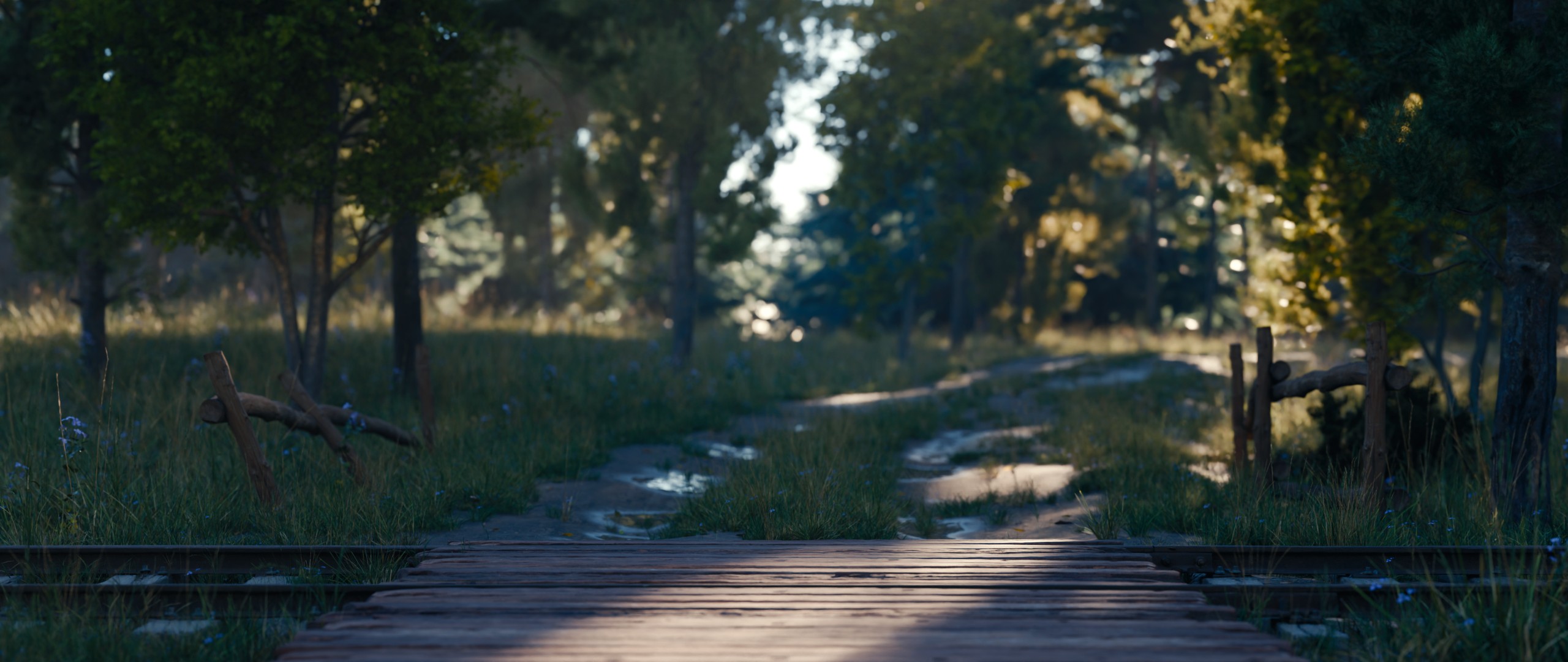 A picture of the railroad tracks under the trees